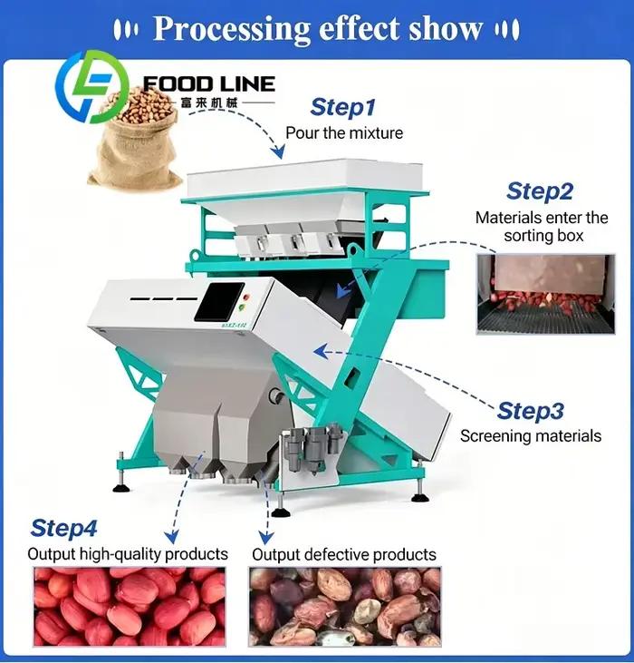 Machine de tri des grains de café commerciale haute précision pour torréfacteurs professionnels et entreprises alimentaires occasions spéciales