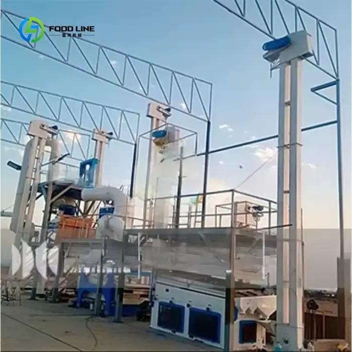 Ligne de traitement de grains de café personnalisée hautement productive pour usines de fabrication, usines alimentaires et fermes