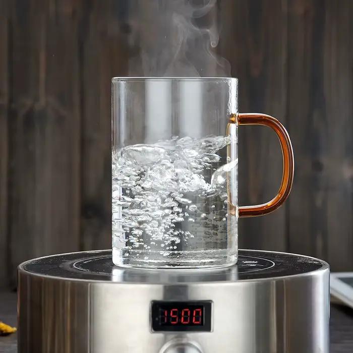Grande tasse à thé en verre borosilicaté avec infuseur en acier inoxydable