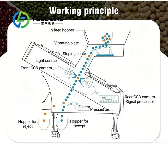Machine de tri des grains de café commerciale haute précision pour torréfacteurs professionnels et entreprises alimentaires occasions spéciales