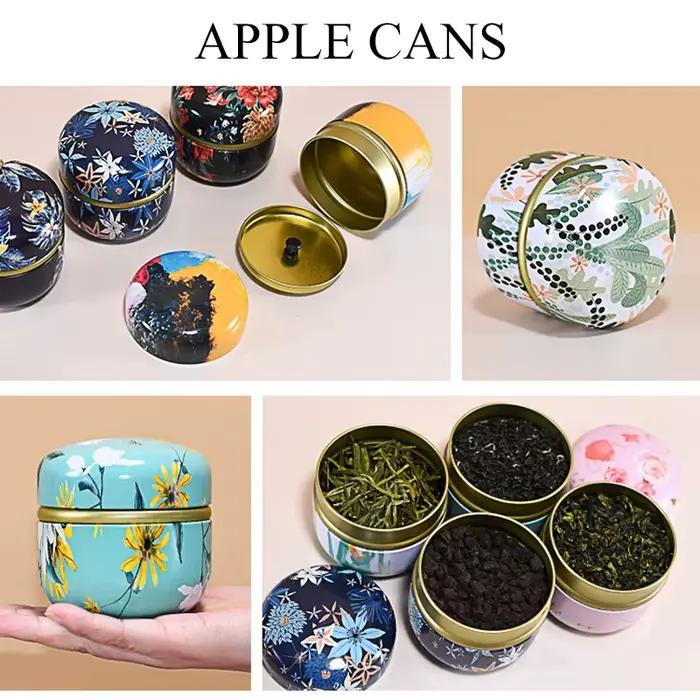 Caddie à thé en fer blanc et étain, boîte scellée portable, style japonais, idéal pour amateurs de thé, occasions spéciales et cadeaux
