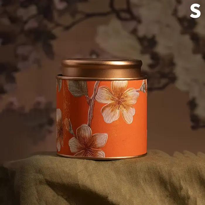 1 pièces Mini boîte à thé avec couvercle boîtes à bonbons Conteneur Matcha sucre café Caddy stockage