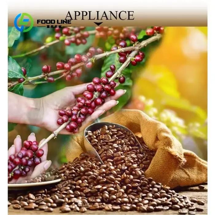 Décortiqueuse manuelle industrielle personnalisée pour grains de café
